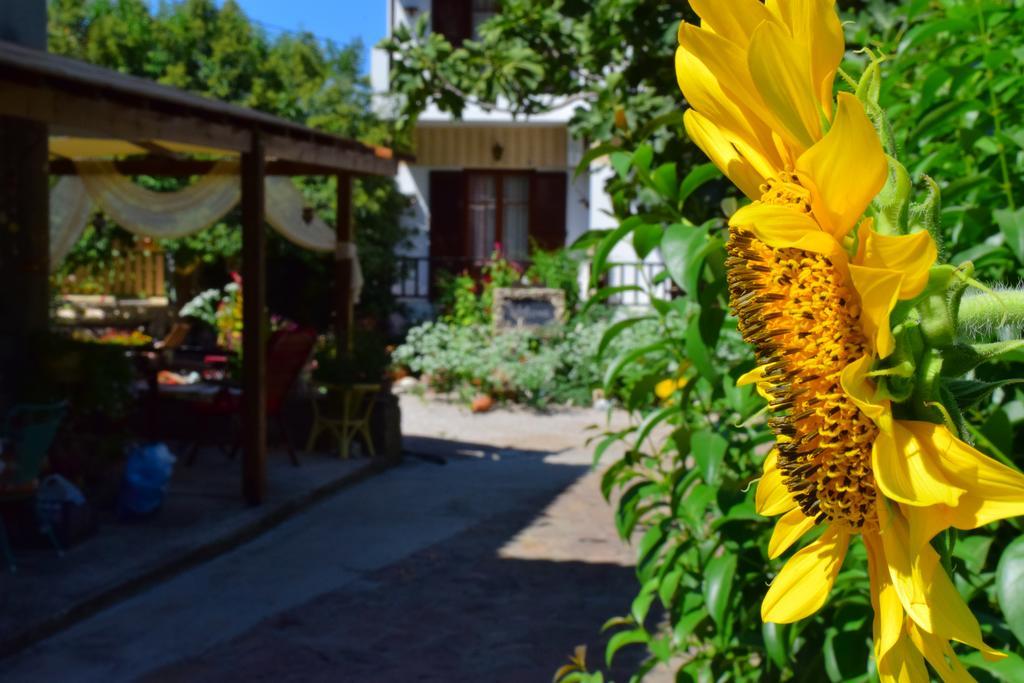 Zaira Studios Skala Eresou Exterior foto