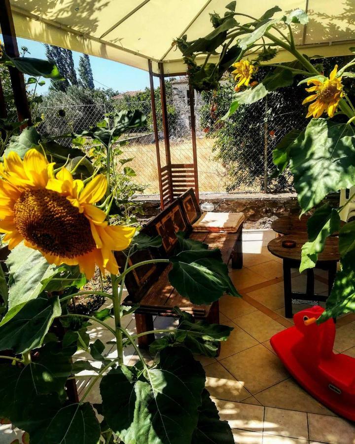 Zaira Studios Skala Eresou Exterior foto